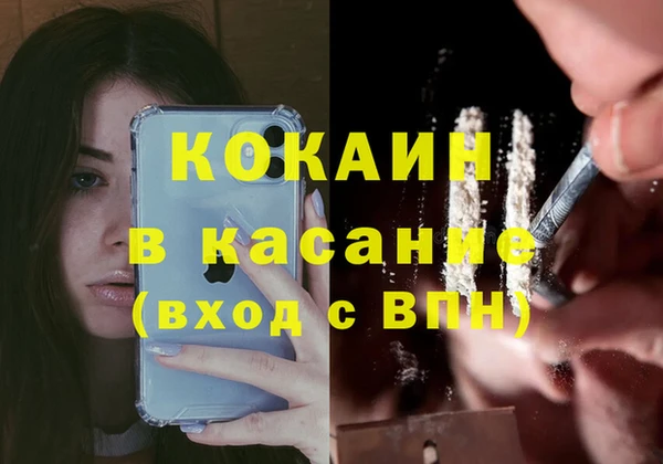 гидра Новозыбков