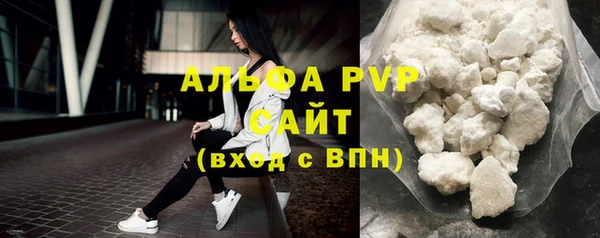 гидра Новозыбков