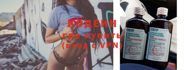 гидра Новозыбков