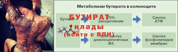 гидра Новозыбков