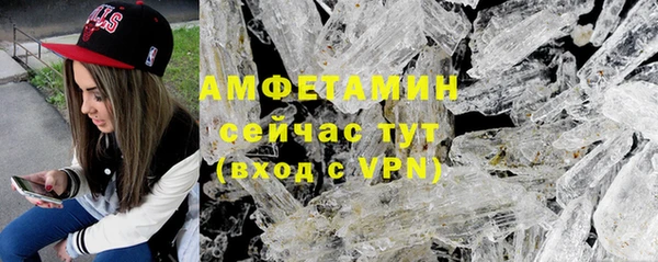 гидра Новозыбков