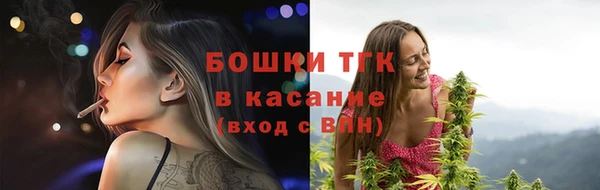 гидра Новозыбков