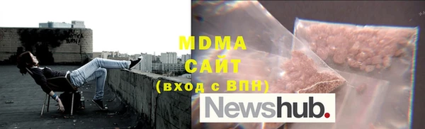 гидра Новозыбков