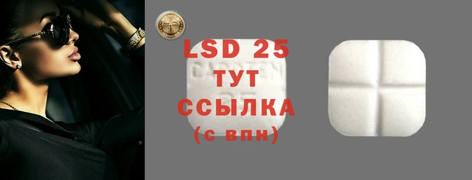 гидра Новозыбков