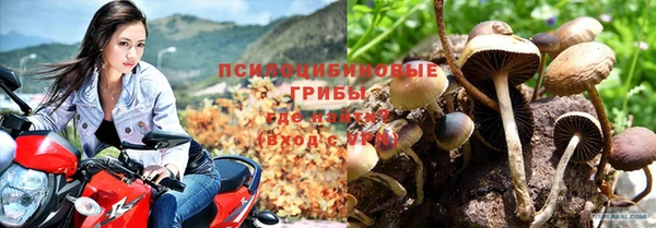 меф Новокубанск