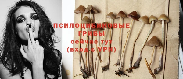 гидра Новозыбков