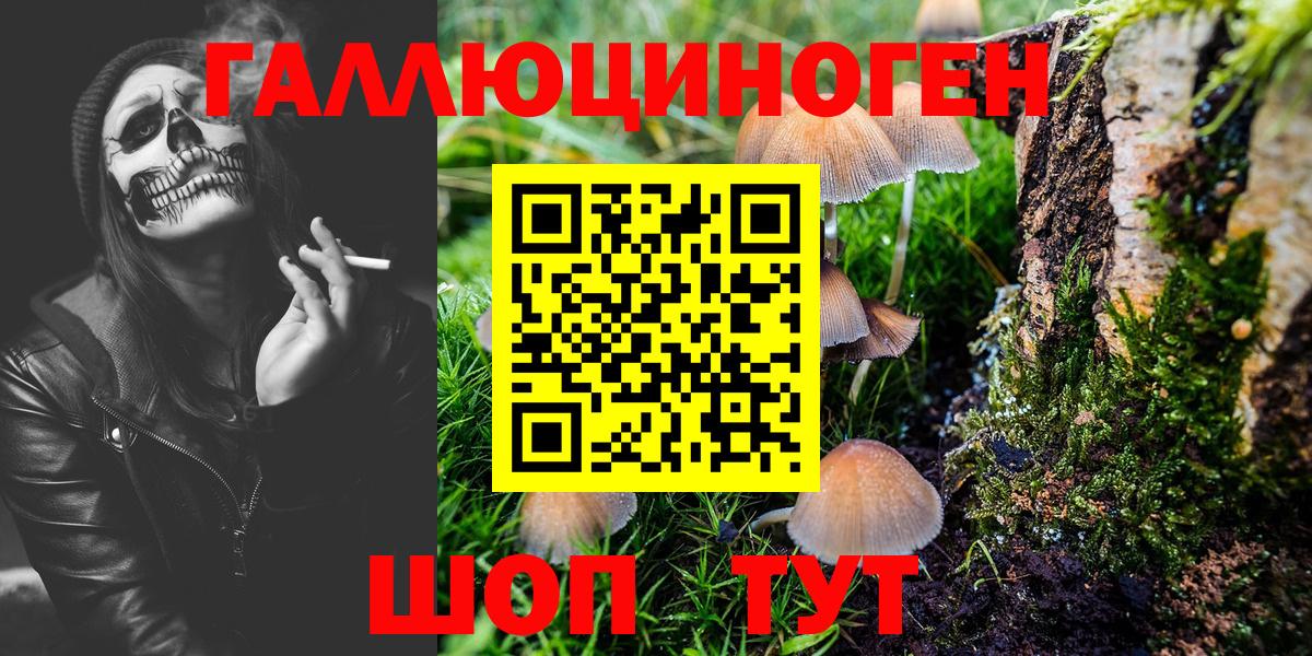 Псилоцибиновые грибы ЛСД Кемерово