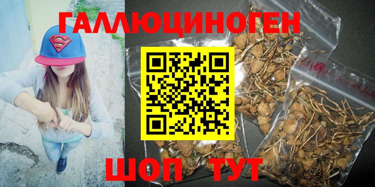 Галлюциногенные грибы мицелий  наркотики  Псилоцибиновые грибы Cubensis  Кемерово  Вход с VPN 