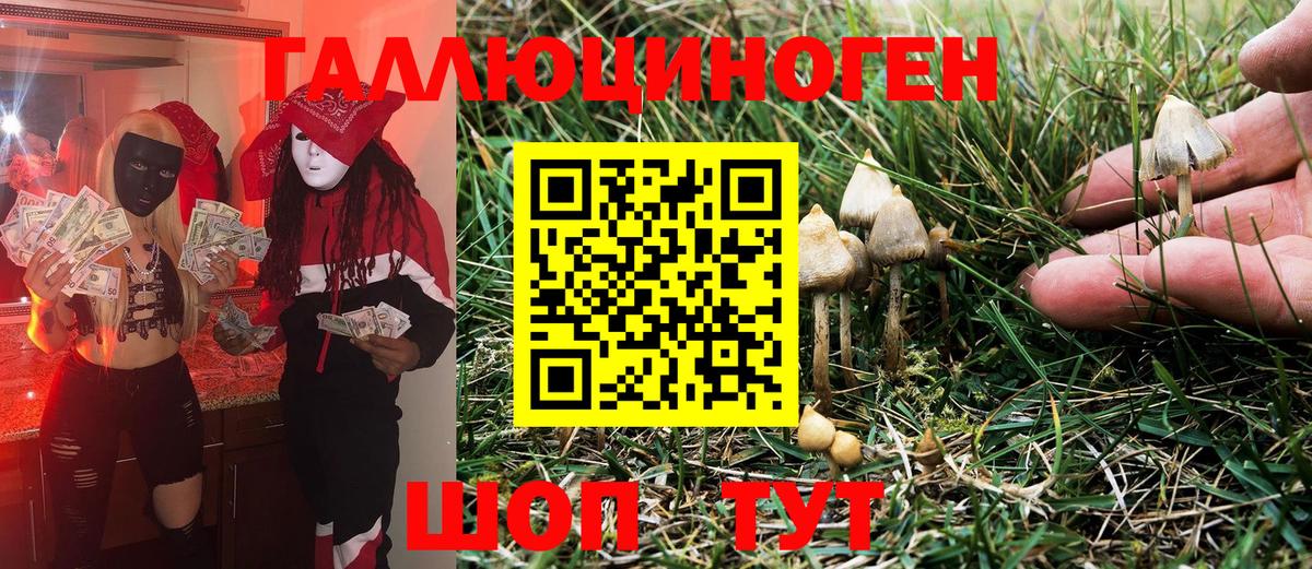 Галлюциногенные грибы Magic Shrooms  Кемерово 